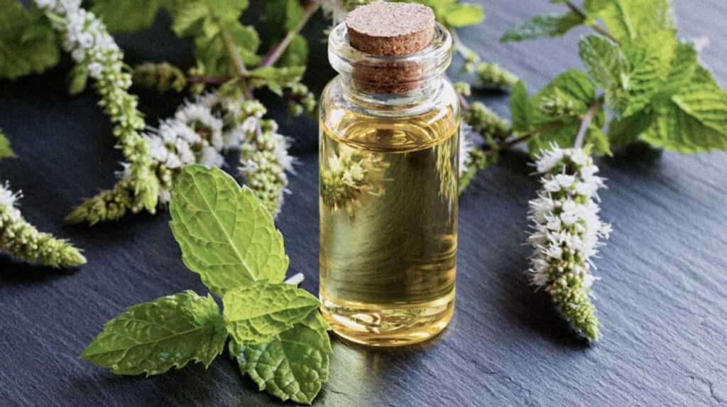 How Can I Treat Allergies Naturally Through Essential Oils?