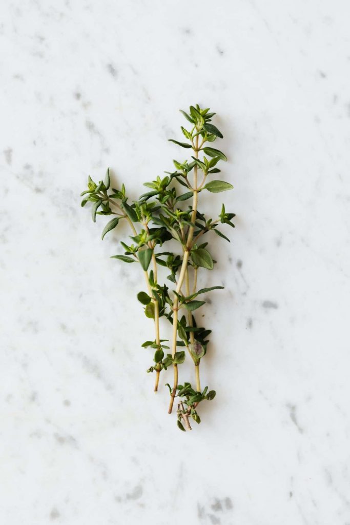 antihistamine Thyme