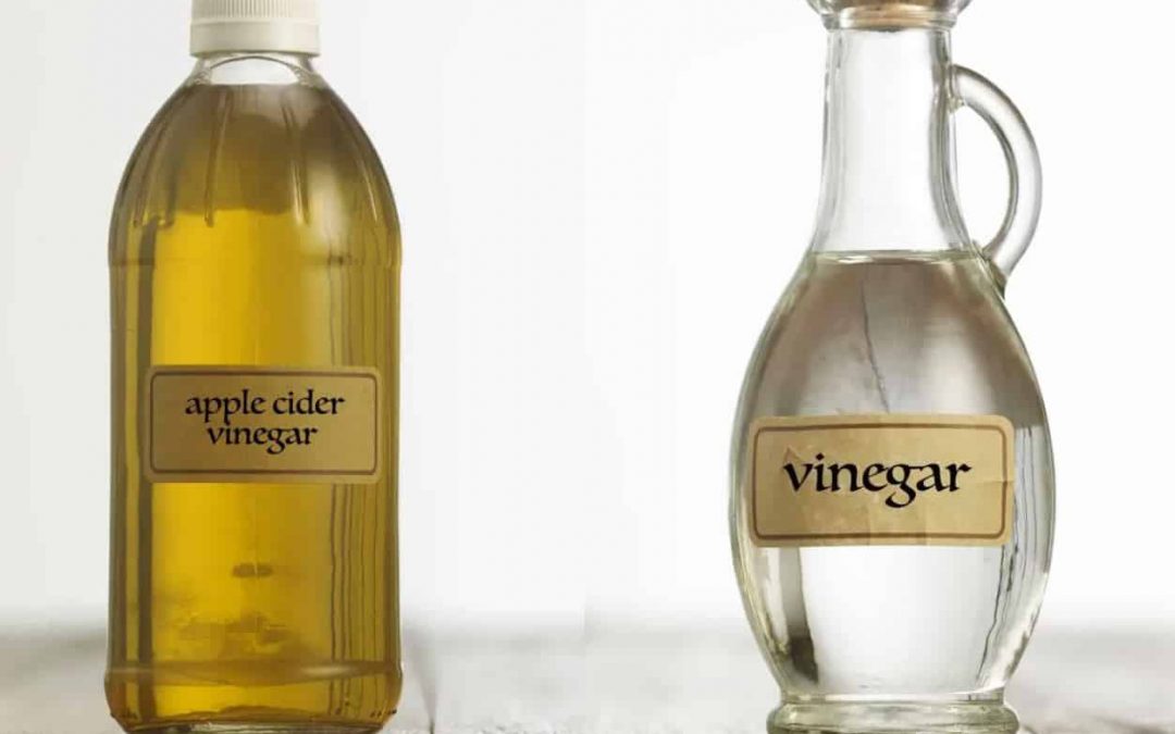 The Truth About Apple Cider Vinegar Vs White Vinegar Is About To Be Revealed