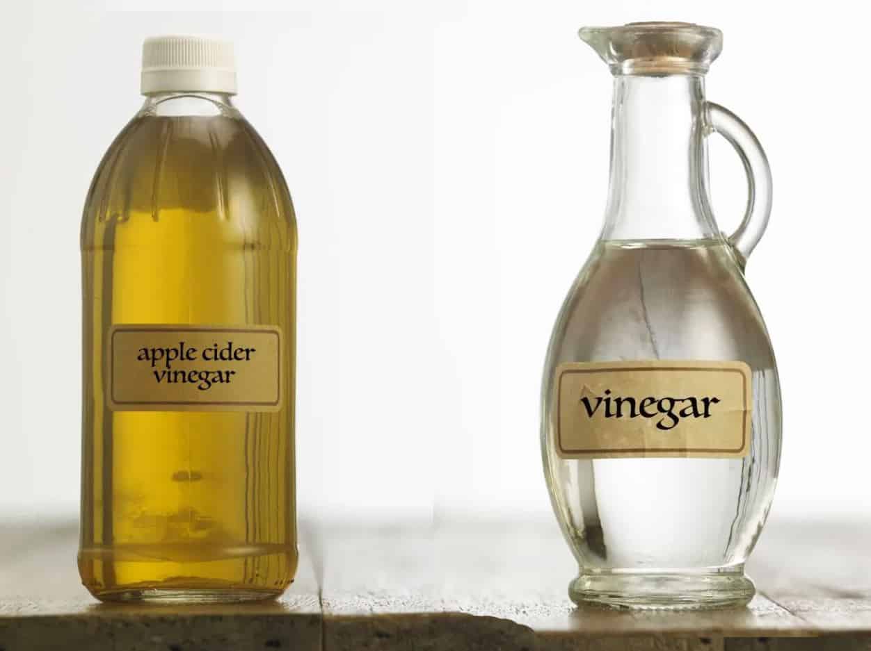 The Truth About Apple Cider Vinegar Vs White Vinegar Is About To Be