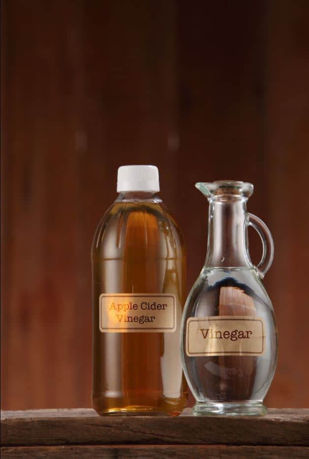 Difference Between Apple Cider Vinegar And White Vinegar