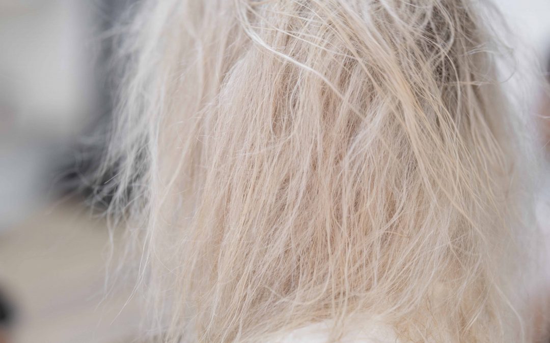 How to Repair Bleach Damaged Hair? All The Tips You Need
